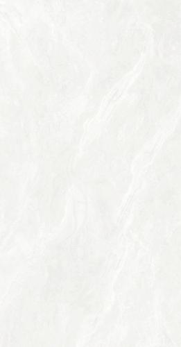 H84110-多面_15